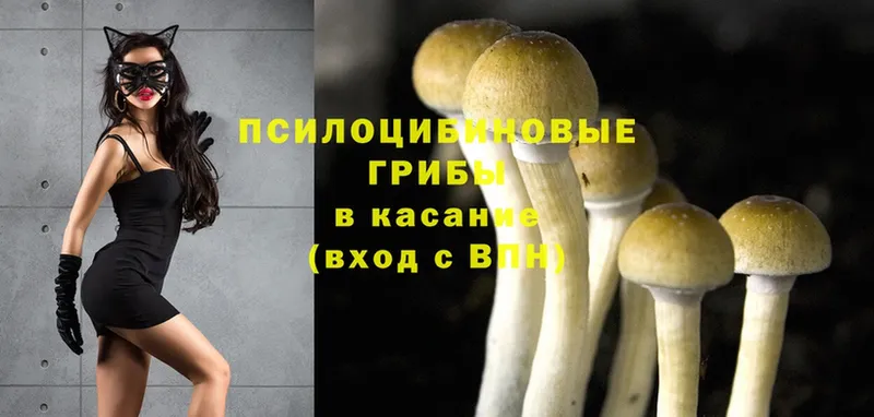 Галлюциногенные грибы Magic Shrooms  где можно купить   Алатырь 