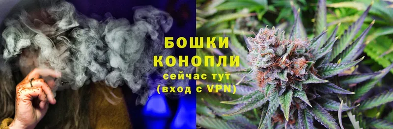 где купить наркоту  Алатырь  Марихуана THC 21% 